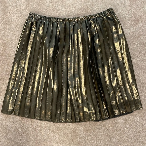 Isabel Marant Dresses & Skirts - Isabel Marant Etoile Size Large Pleated Shimmer Bronze/Black skirt